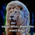 __||~ට්‍රැක් ලන්තය~||__  Whatsapp Group Link Join