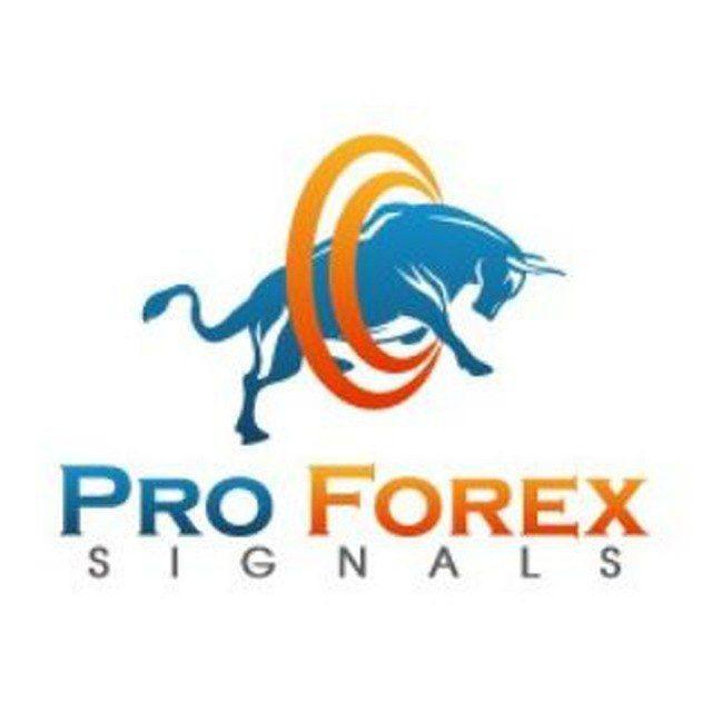 forex king whatsapp group link join 4