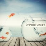 The Opportunity…  Whatsapp Group Link Join